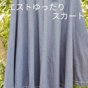 BATEAU MOUCHE W67 後ゴム38〜42cmデニムスカート丈63cm 他 ゆったりサイズ 例