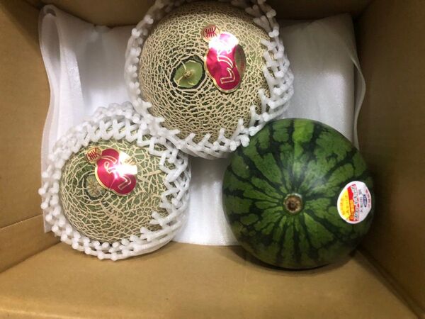 77.早勝ちお買い得数量限定小玉すいか1玉+赤肉小玉メロン2玉入り