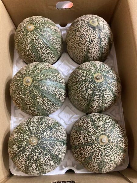 16.特売数量限定 青肉メロン6〜7玉入り満杯品種お任せ箱込み5.5Kg前後