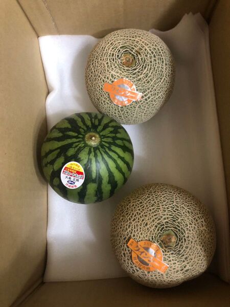 25.早勝ちお買い得数量限定小玉すいか1玉+赤肉小玉メロン2玉入り