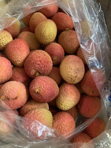 133.特売新鮮青果生ライチ箱込み2kg玉数お任せ常温便