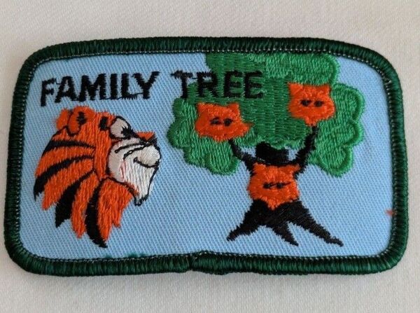 FAMILY TREE ビンテージ BSA タイガー カブ ボーイスカウトワッペン 90s アメリカ トラ パッチ カスタム