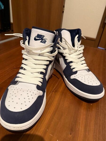 ナイキ AIR JORDAN 26.5