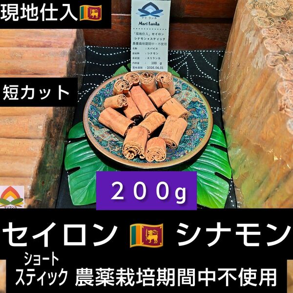 ◆ 現地仕入 ◆ セイロンシナモン 「ショートスティック」** 200g ◆ 農薬栽培期間中不使用