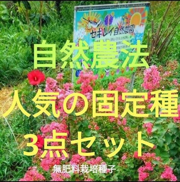 自然農法 人気の固定種3点セット