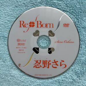 忍野さら Re Born DVD ディスクのみ