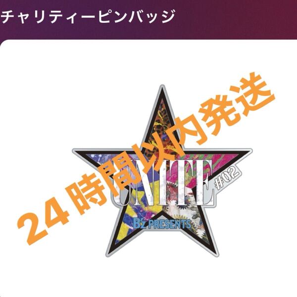 B'z UNITE #02 チャリティピンバッヂ