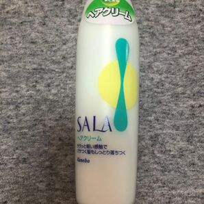 サラ ヘアクリームR 165ml×1本 カネボウ