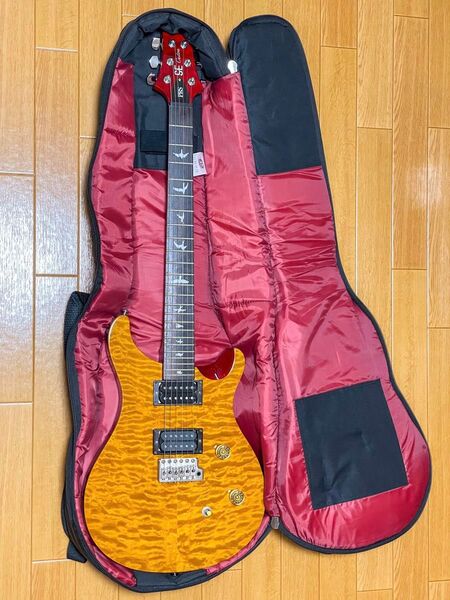 PRS SE Custom 2010年製造