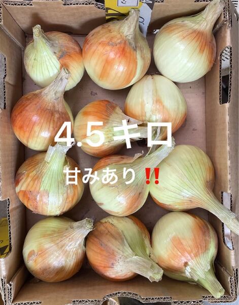 新玉ねぎ4.5Kg