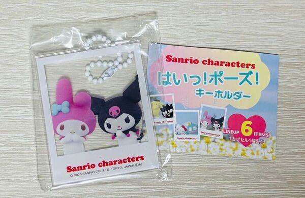 サンリオキャラクターズ はいっ!ポーズ!キーホルダー(マイメロディ&クロミ)