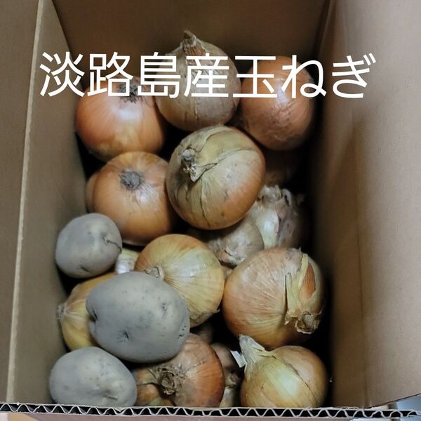 淡路島産 玉ねぎ 5kg