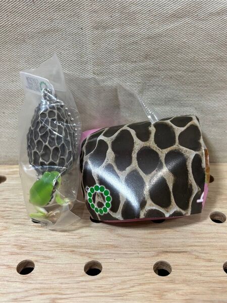 キノコとアマガエル2 アミガサタケ ニホンアマガエル ガチャ