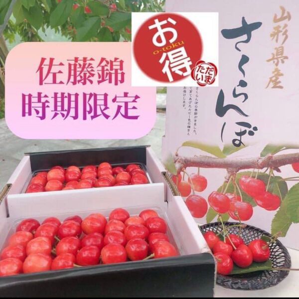 山形県産 さくらんぼ佐藤錦 バラ詰め1k