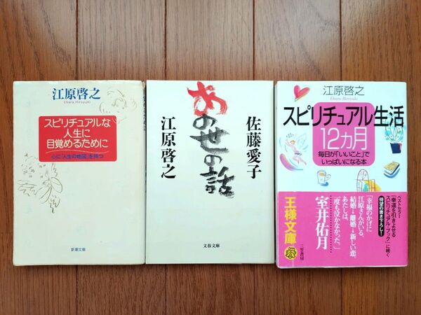 スピリチュアル生活12カ月 あの世の話 スピリチュアルな人生に目覚めるために 江原啓之 佐藤愛子