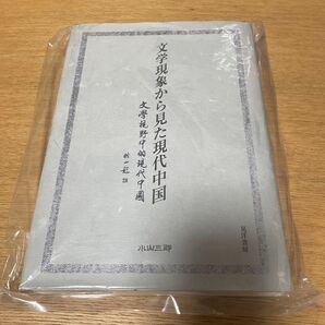 文学現象から見た現代中国
