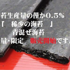 稀少の海苔 愛知産 青混ぜ海苔 「生海苔」 50枚 はっとり海苔 送料無料