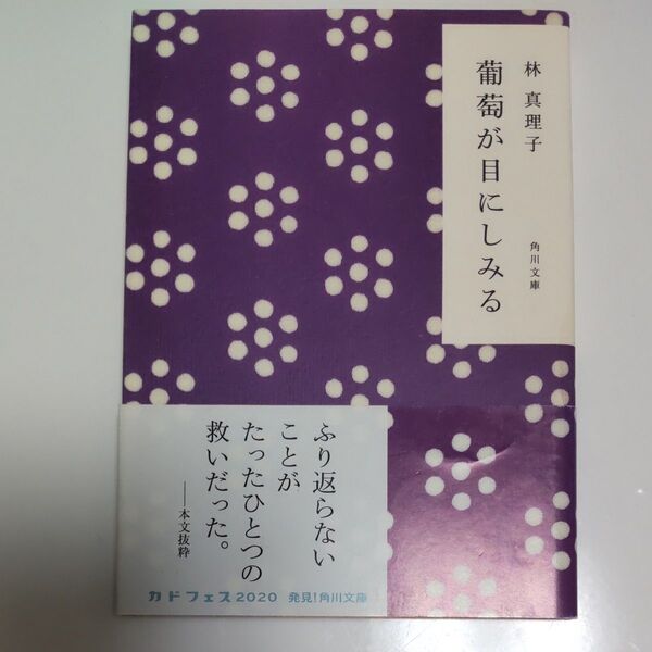 林真理子「葡萄が目にしみる」角川文庫