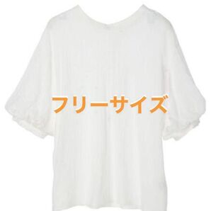 【新品未使用】レディース シャツ ブラウス ・ELENCARE DUE バルーンスリーブ バックリボン ホワイト 定価4950円