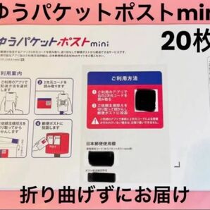 ゆうパケットポストmini 封筒 20枚