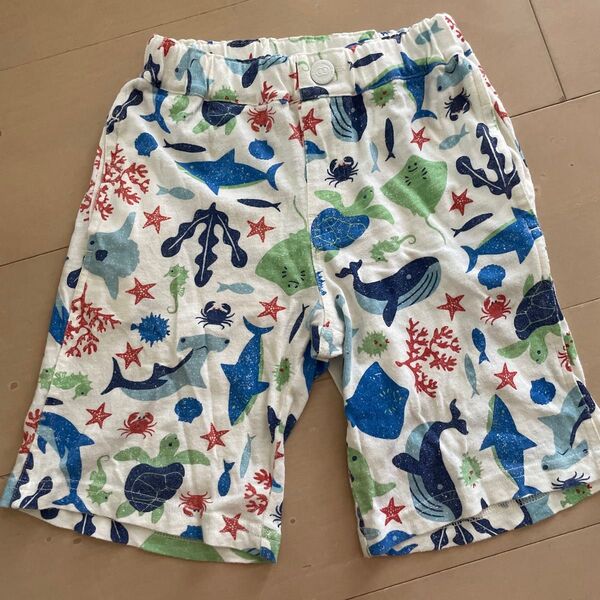Bit'z 海の生き物柄 ハーフパンツ 120cm