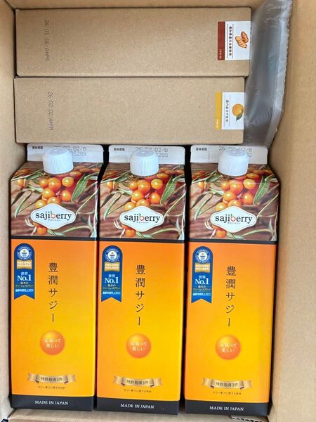 豊潤サジー 1000ml サジージュース【紙パックタイプ】 2本セット