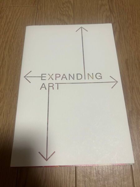 EXPANDING ART 書籍 現代アート展覧会カタログ 画集 作品集