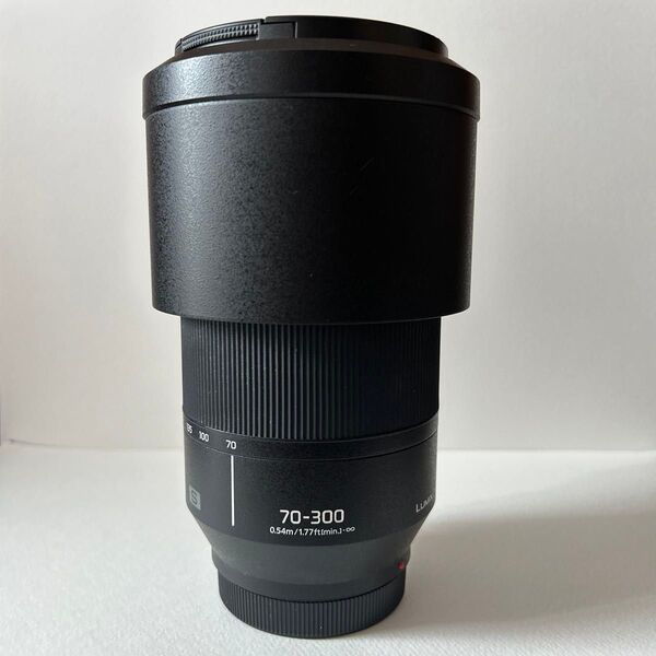 Panasonic LUMIX 70-300mm 望遠レンズ