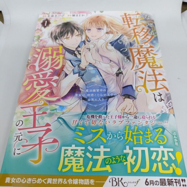 なぜか転移魔法はいつも溺愛王子の元に 1 (BKコミックスf) 木成あけび 植まどか