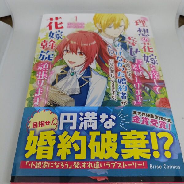 『理想の花嫁を探して幸せにして差し上げます』と言ったら、そっけなかった婚約者が何故か関わってきますが、花嫁斡旋頑張ります1