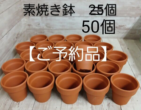 素焼き鉢 50個 まとめ売り 寄せ植えやリメイク鉢にも(^-^)【ゆうパケットプラス】