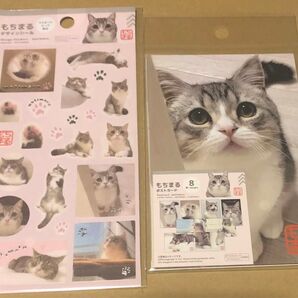 もちまる ポストカード デザインシール
