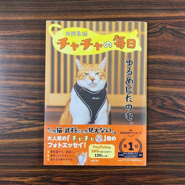 元野良猫チャチャの毎日 元野良猫チャチャ/著