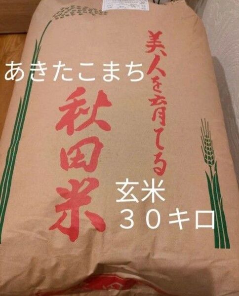 令和6年度 秋田県産あきたこまち 玄米30キロ 新米