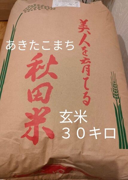 令和6年度 秋田県産あきたこまち 玄米30キロ 新米