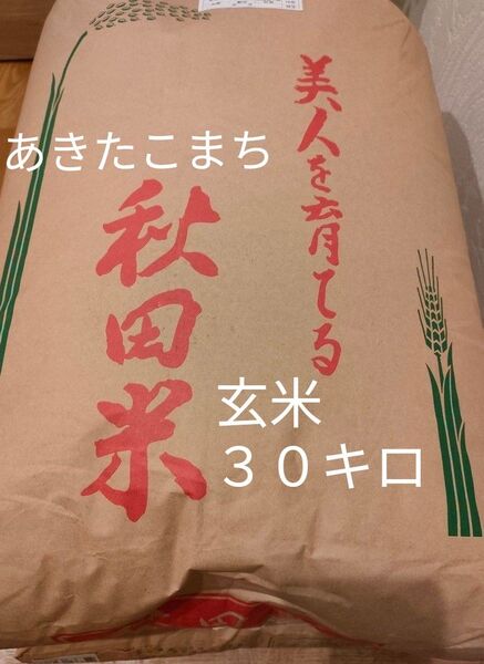 令和6年度 秋田県産 あきたこまち 玄米30キロ 新米