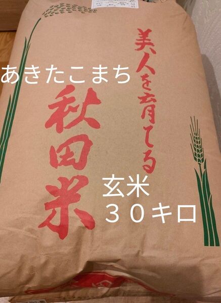 令和6年度 秋田県産 あきたこまち 玄米30キロ 新米
