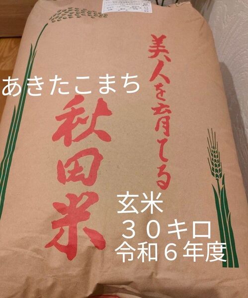 令和6年度 秋田県産あきたこまち 玄米30キロ 新米