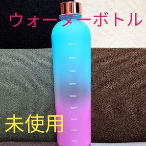 開封未使用品! ウォーターボトル 1リットル 用メモリー付き!