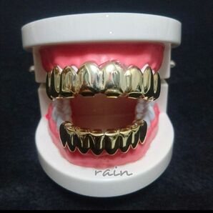 【88G】上下8本! 金歯 グリルズ Gold grillz ブリンブリン