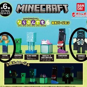 マインクラフト ならぶんです。6 スティーブ ウォーデン2個