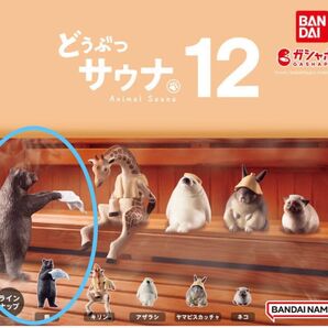 ガチャ どうぶつサウナ12 熊 バンダイ