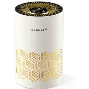 ECOSSELF 空気清浄機 小型 12畳 極静音 軽量 脱臭/PM2.5 小型