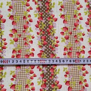 ●イチゴ●ドット●水玉●ボーダー●シーチング●チョコ系●55cm●延長可●