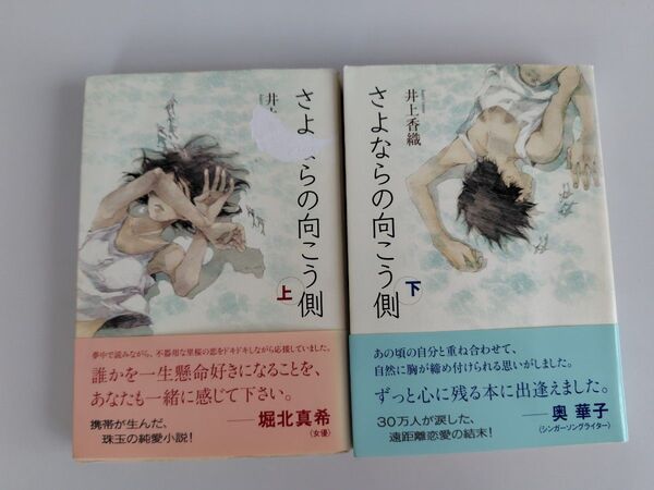 さようならの向こう側 上下巻セット