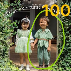 ピーターパン コトリ コスプレ 100
