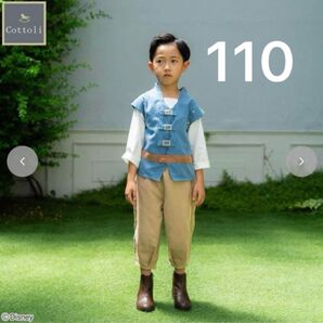 コトリ フリンライダー ユージーン 110