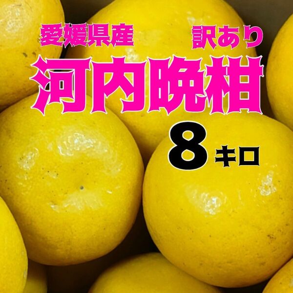 愛媛県産 訳あり 河内晩柑 8キロ