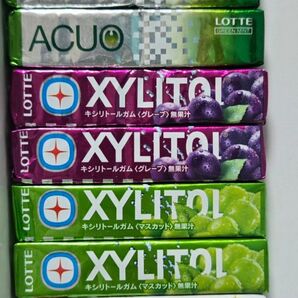No.158 ガム XYLITOL ACUO 選べる4点セット