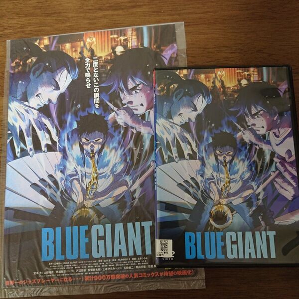 DVD 【BLUE GIANT】 石塚真一(原作) 山田裕貴 間宮祥太朗 岡山天音 馬場智章(サックス) 上原ひろみ(ピアノ)